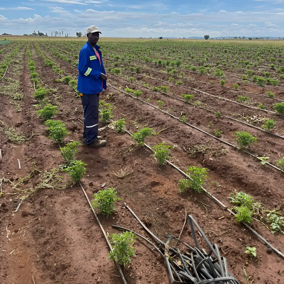 Crop Management