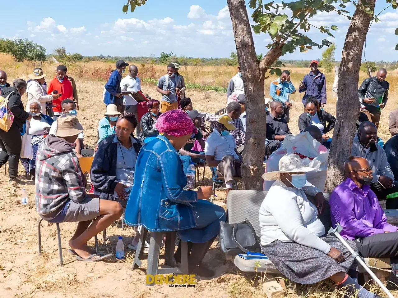 Farmer Workshop