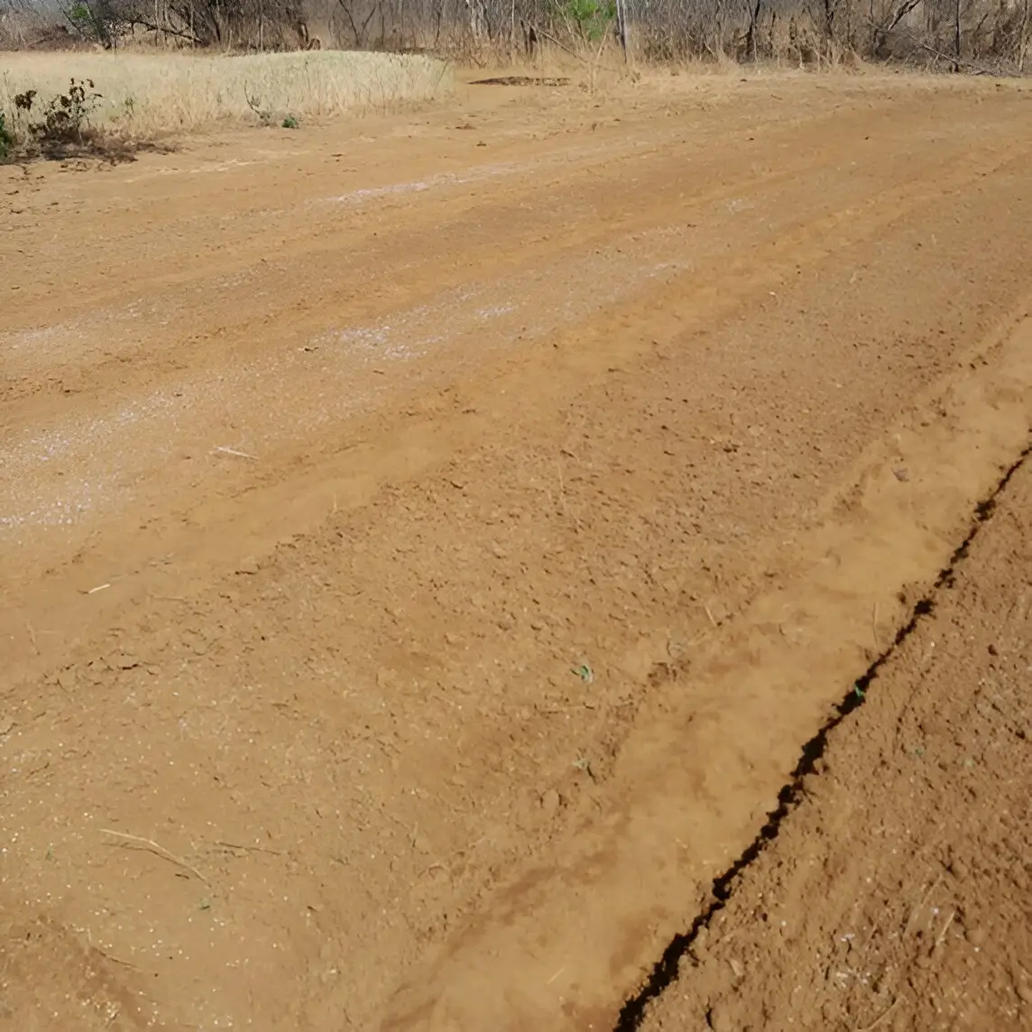 Seedbed Preparation